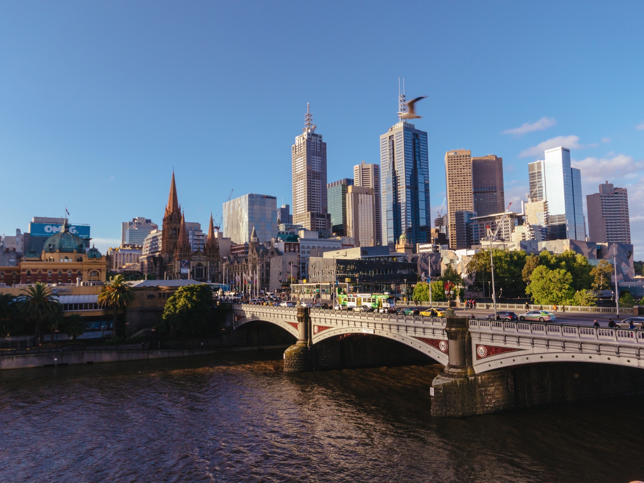 VIC CDS Forum